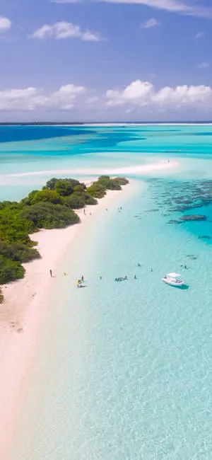 4K iPhone Swimming In Beach Aerial View