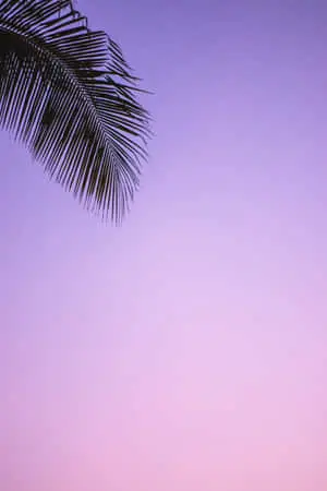 Customize your iPhone with this stylish aesthetic background