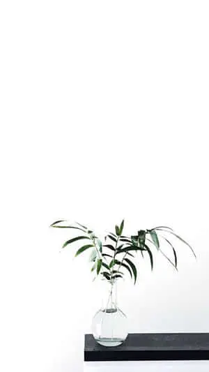 Unlock your aesthetic potential with a stylish iPhone background.