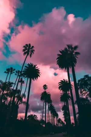 Aesthetic Iphone background