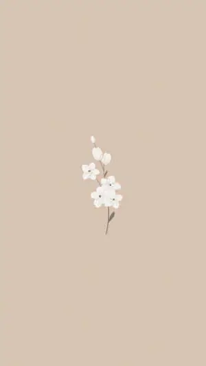 Aesthetic Iphone background