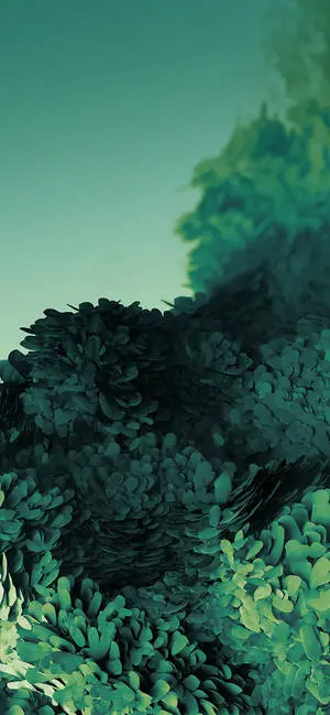  Aesthetic Leaves On Awesome Phone