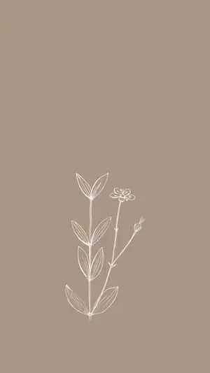 Image  An Aesthetic Minimalist Iphone