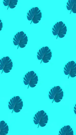 Aesthetic VSCO Monstera Leaves Pattern Background
