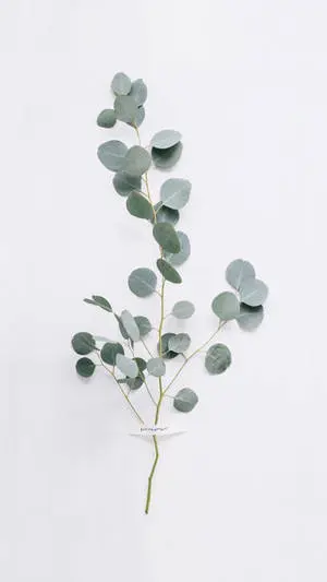 Stunning Artificial Eucalyptus Plant|
