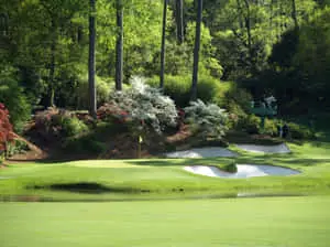 A picturesque view of Augusta National Golf Course, captured on iPhone