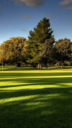 a green golf course with trees and grass