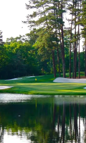 Spindly Trees At Augusta National Iphone