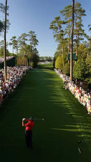 Tiger Woods In Augusta National Iphone