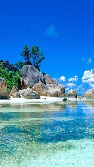 Beach 4K iPhone Clear Waters