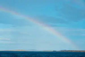 Beautiful IPhone Rainbow 