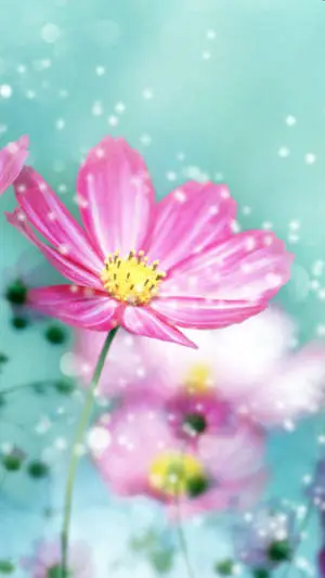 Big Petal Pink Flower Iphone