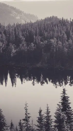 Black And White iPhone Canada Lake