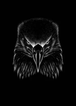 Black Eagle Art Iphone
