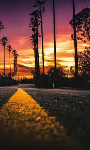 Bright California Beaches and iPhone