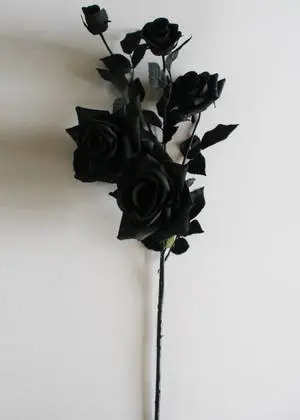  Caption: Mystic Beauty: Black Rose iPhone Wallpaper 
