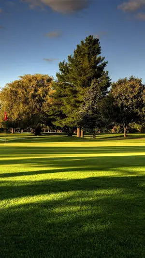 Cool Golf Course Out Of Bounds In Georgia
