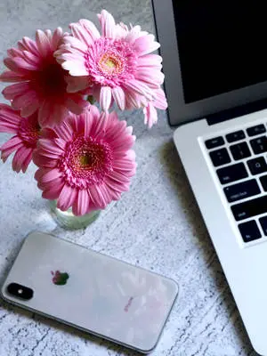 Cool IPhone Pink Daisies