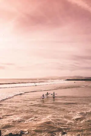 Cute Dusk Beach