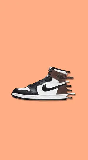 Distorted Nike Jordan 1