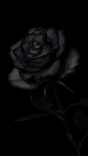 Elegant Black iPhone Background