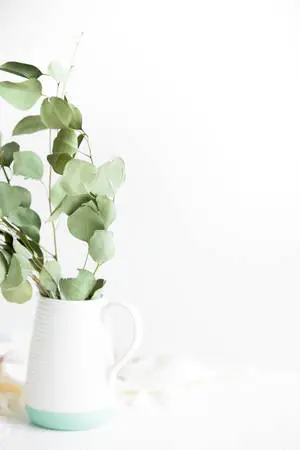 Eucalyptus Ceramic Vase