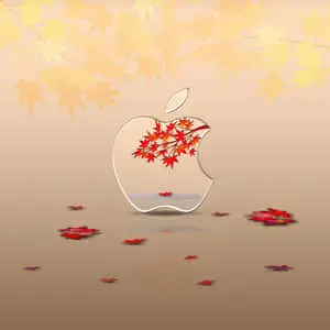 Fall iPad Leaves Apple Logo