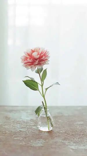 Stand Out in Style with the Pink Flower iPhone 