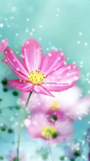 Capture the beauty of nature with this vibrant flower iPhone wallpaper