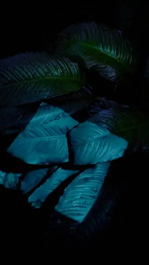 Green Blue Leaves iPhone 7 Original