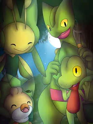 Grovyle With Green Pokemon