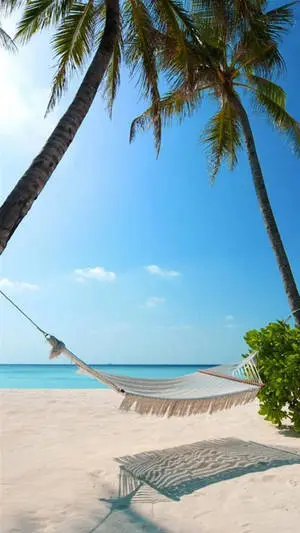 Hammock Beach Iphone