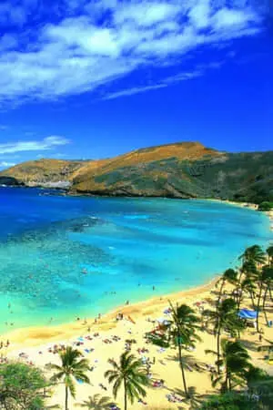 Hawaii Tropical Beach iPhone