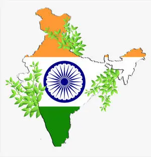India Map With Leaves