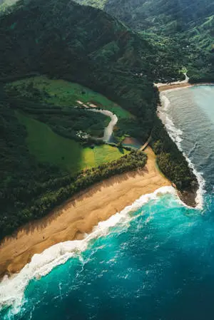 iPhone 7 Beach And Green Field