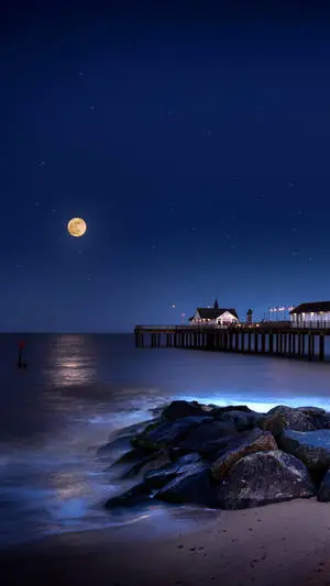 iPhone 7 Beach At Night