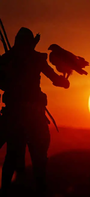 a silhouette of a man holding a bird at sunset