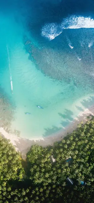 iPhone X Beach And Forested Island