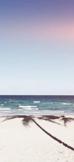 iPhone X Beach Coconut Shadow