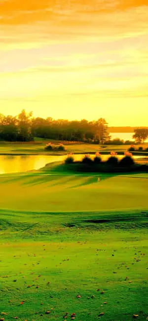 "Enjoy a round of golf on this idyllic golf course on your Iphone X"