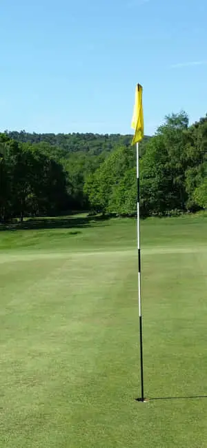 Hit the Greens with the Iphone X