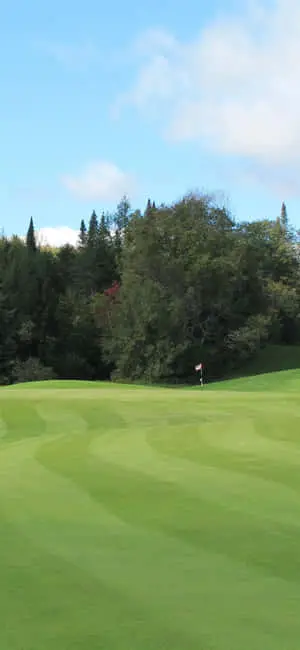 Golfing on a Serene Golf Course with Iphone X
