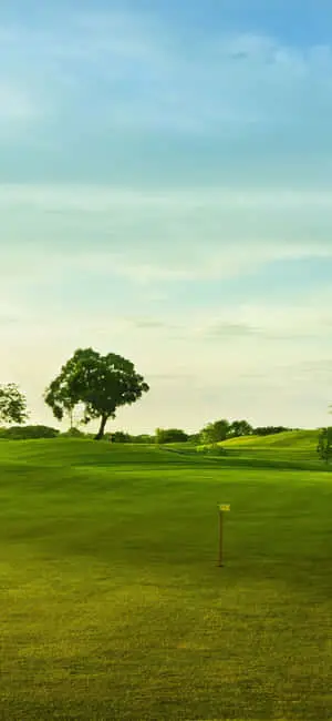 Serene Golf Course View with iPhone X