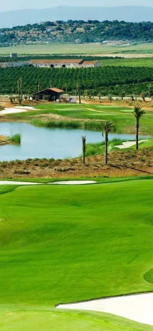 "It's tee-time! Enjoy your golf game on the lush fairways of the golf course on your iPhone X"