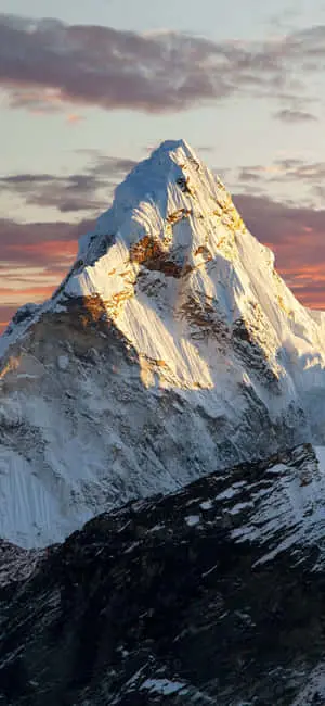 Captivating iPhone X Nature Background