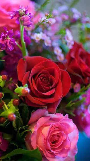 Iphone X Roses Background Bouquet Of Flowers