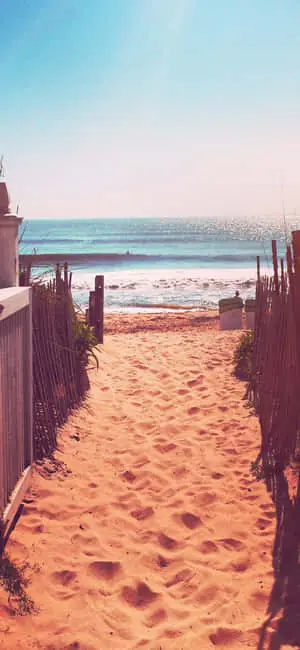 iPhone XS Sand Beach Path Beach Background