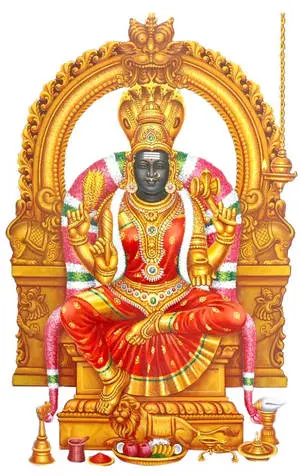 Mariamman Offerings