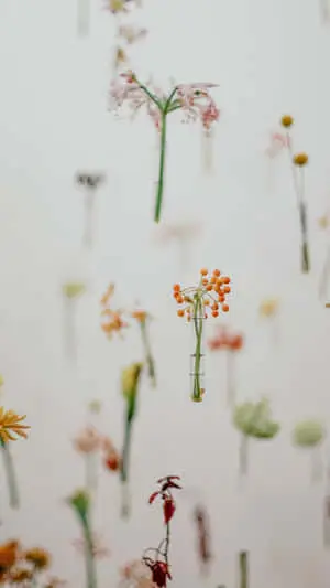 Minimalist Falling Flower