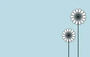 Minimalist Daisy Flower Art
